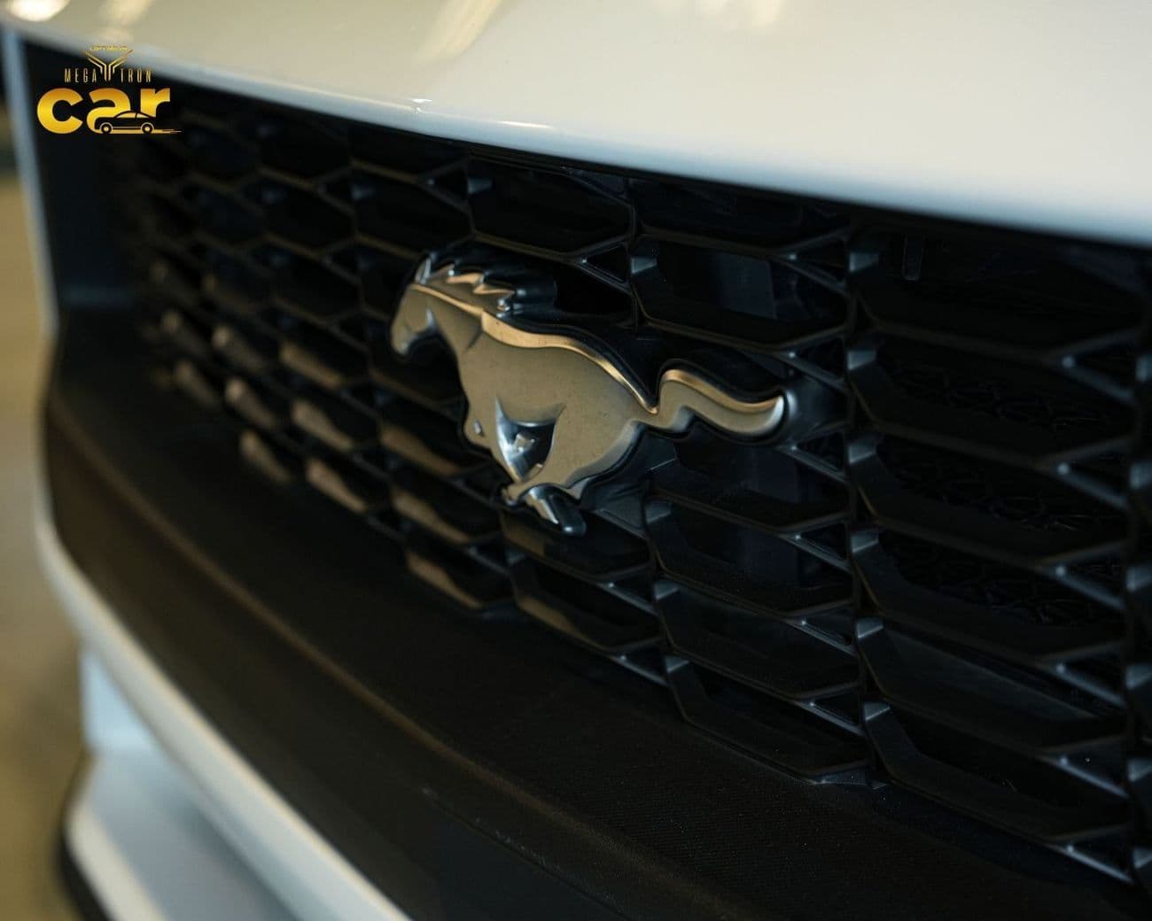 2025 Ford Mustang thumbnail 2