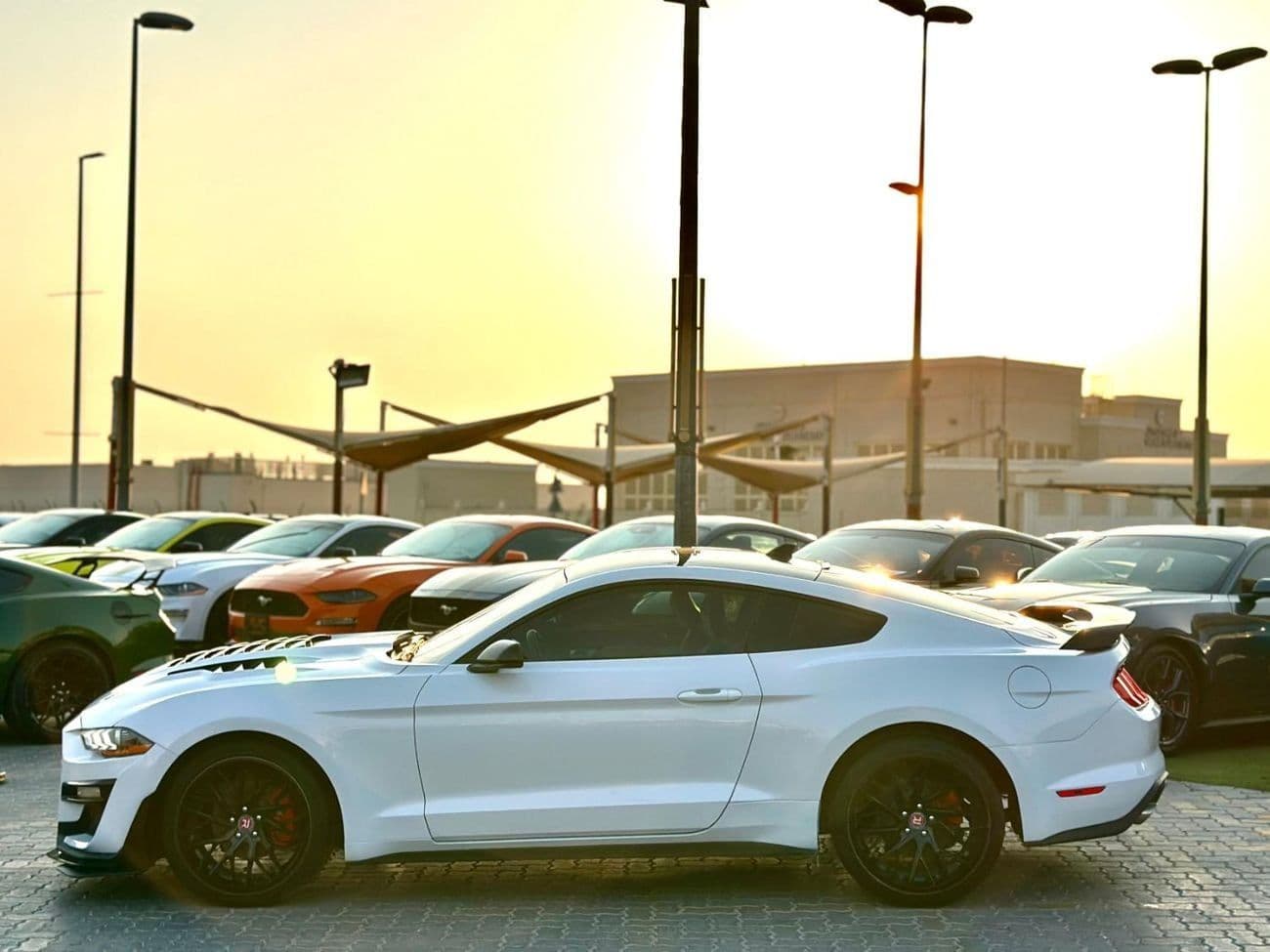 2022 Ford Mustang STANDARD thumbnail 8