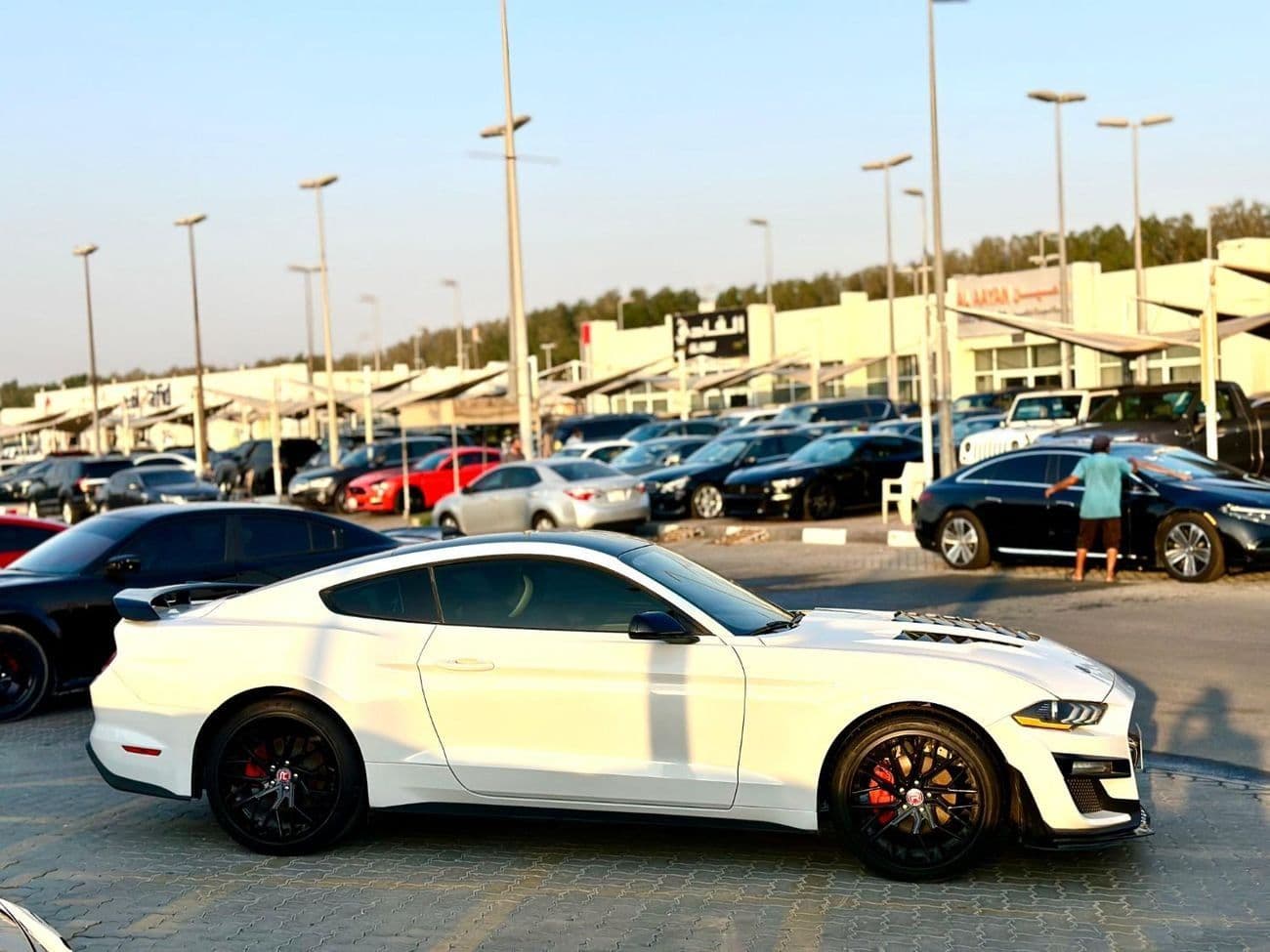 2022 Ford Mustang STANDARD thumbnail 4