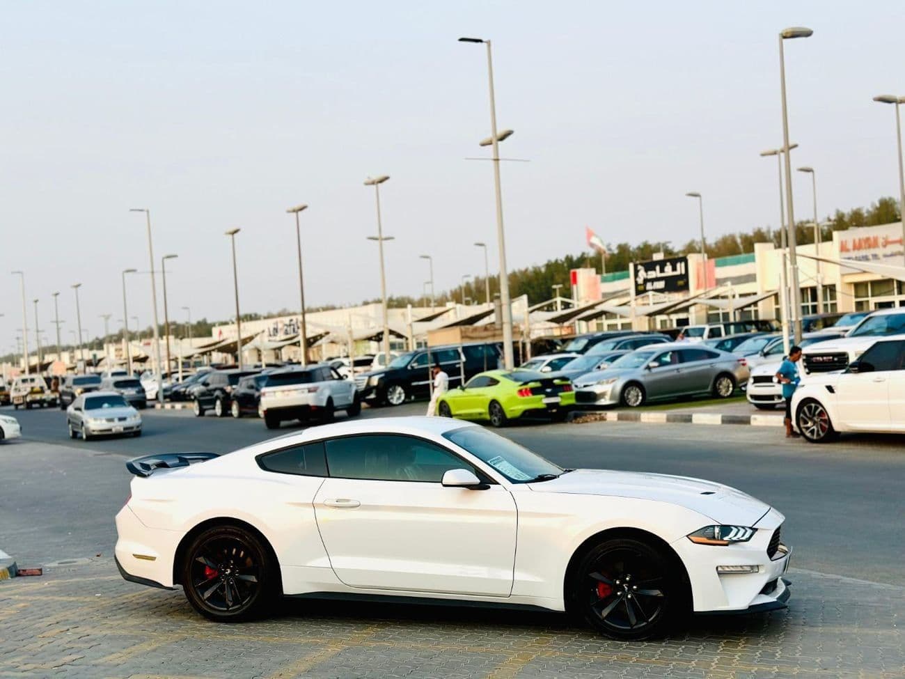 2017 Ford Mustang STANDARD thumbnail 4