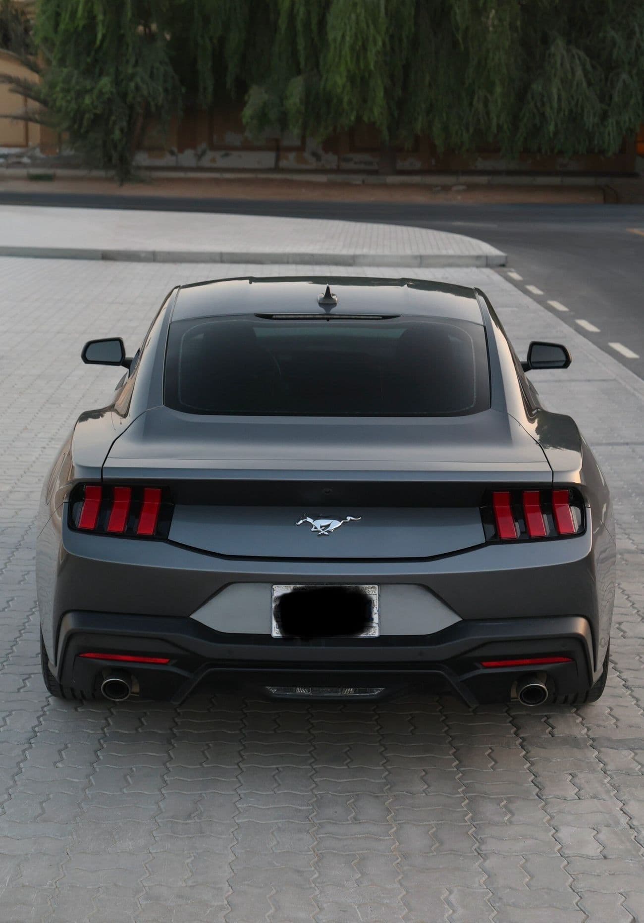 2024 Ford Mustang STANDARD thumbnail 4