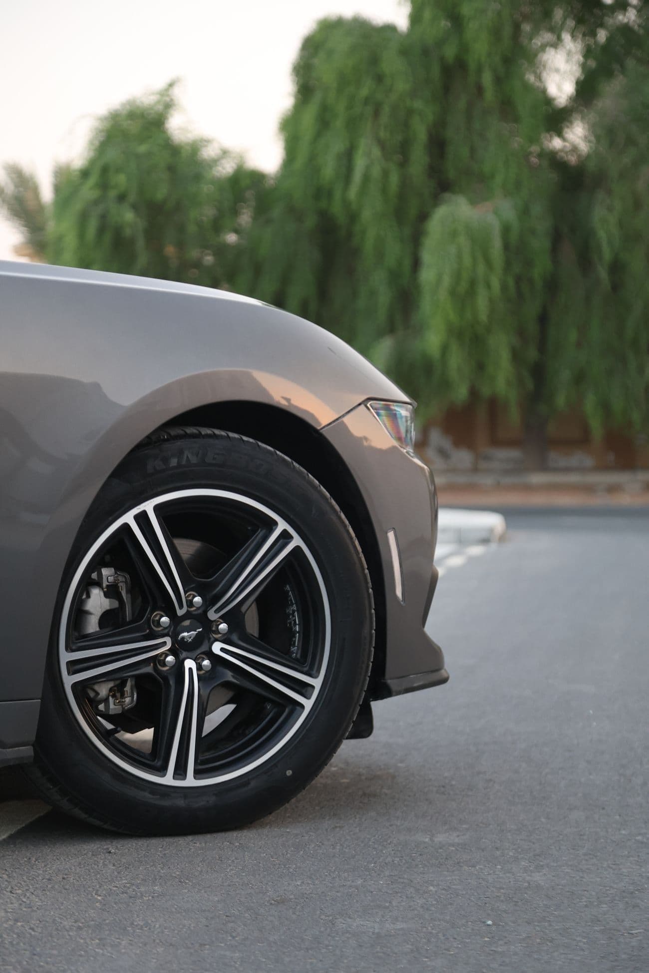 2024 Ford Mustang STANDARD thumbnail 5