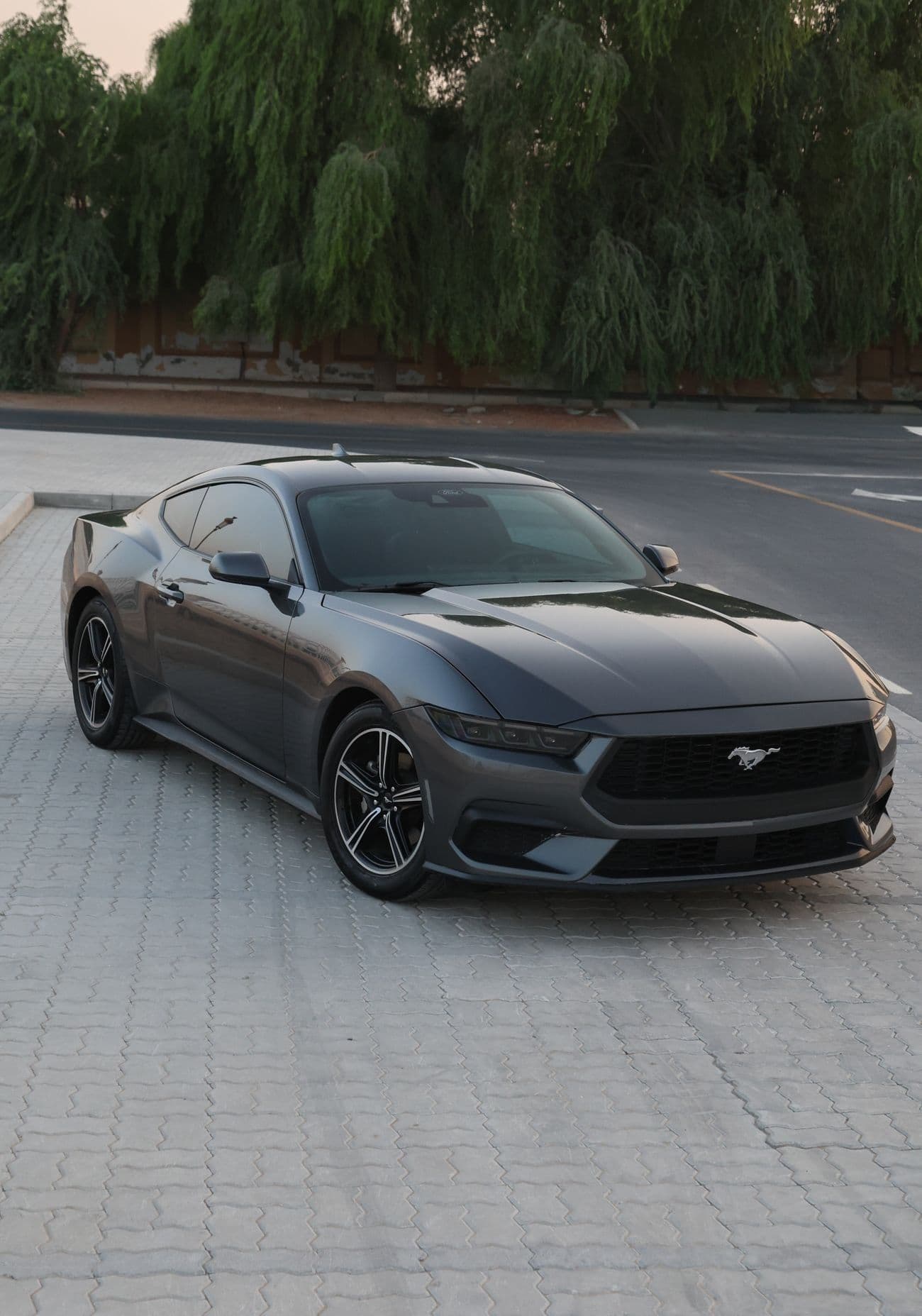 2024 Ford Mustang STANDARD