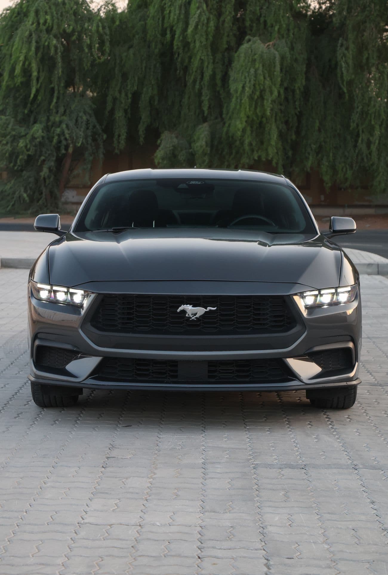 2024 Ford Mustang STANDARD thumbnail 2