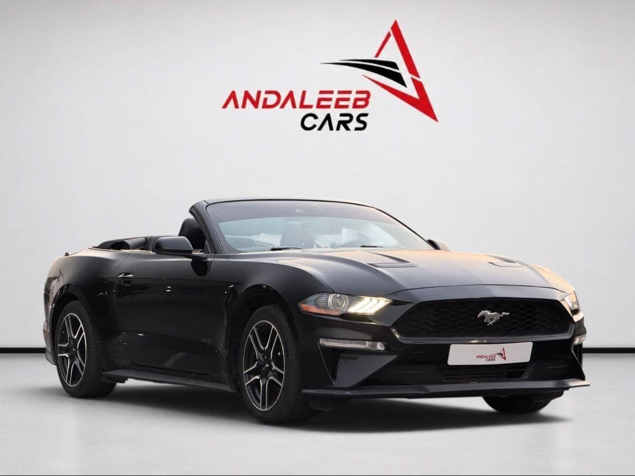 2022 Ford Mustang STANDARD thumbnail 3