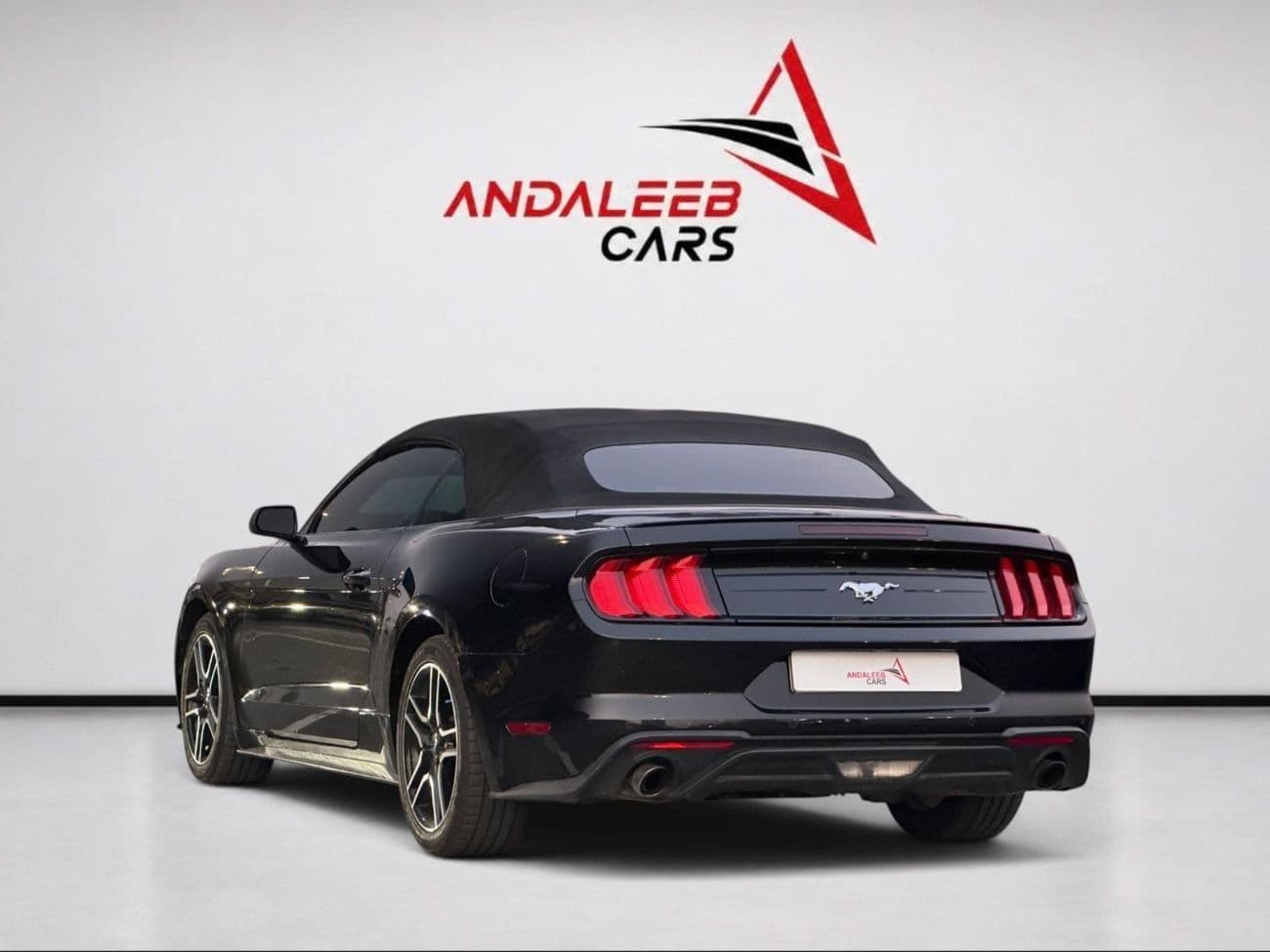 2022 Ford Mustang STANDARD thumbnail 7
