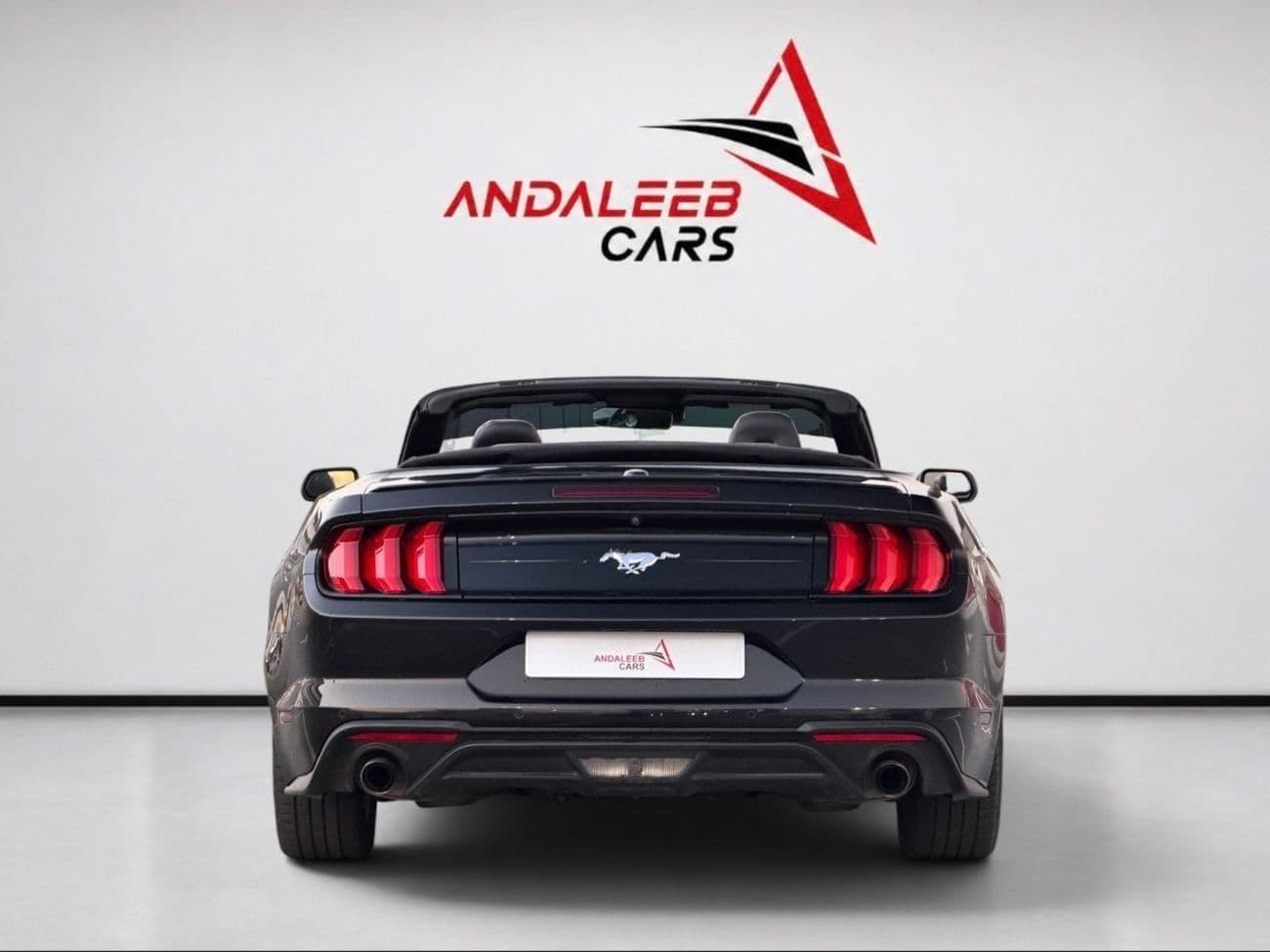 2022 Ford Mustang STANDARD thumbnail 4