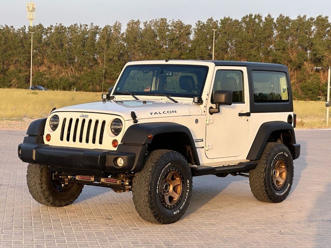 2018 Jeep Wrangler FALCON EDITION thumbnail 3