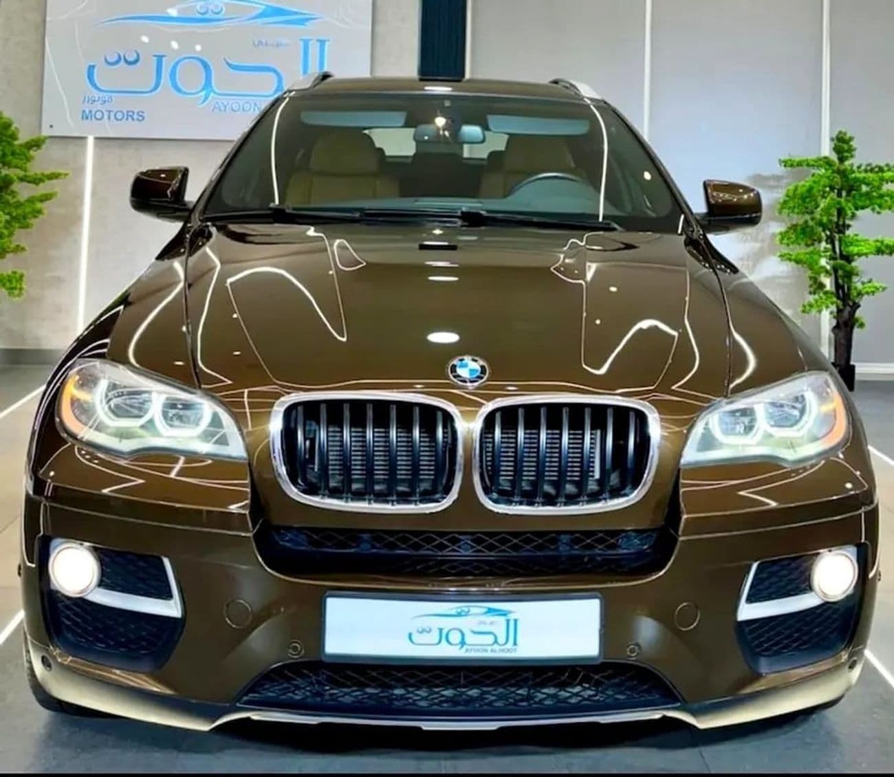 2014 BMW X6 35i EXECUTIVE thumbnail 7