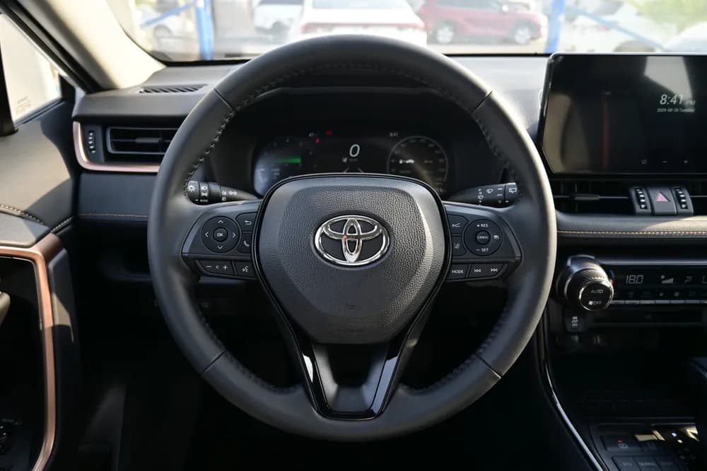 2025 Toyota Wildlander thumbnail 10