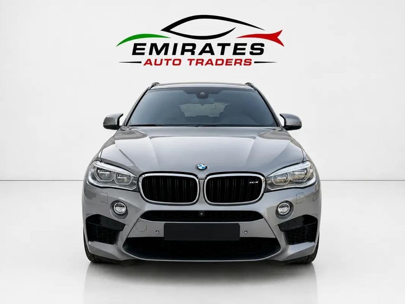 2019 BMW X6 35i M SPORT thumbnail 2
