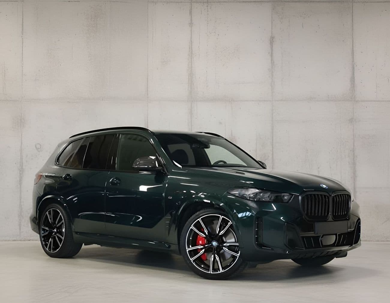 2025 BMW X5 thumbnail 5