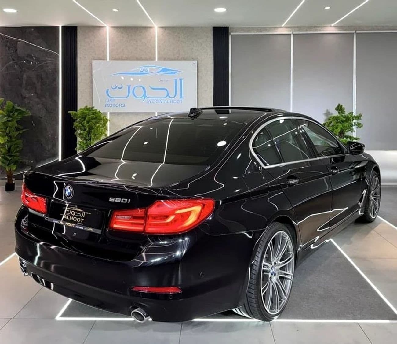 2019 BMW 520i EXCLUSIVE thumbnail 2