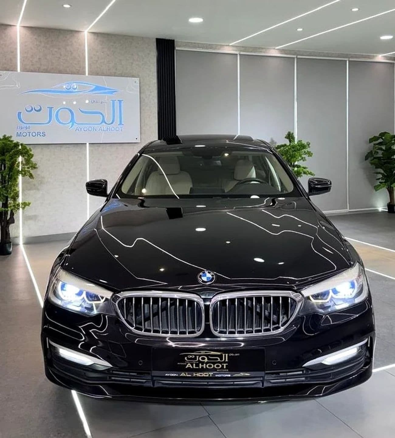 2019 BMW 520i EXCLUSIVE thumbnail 5