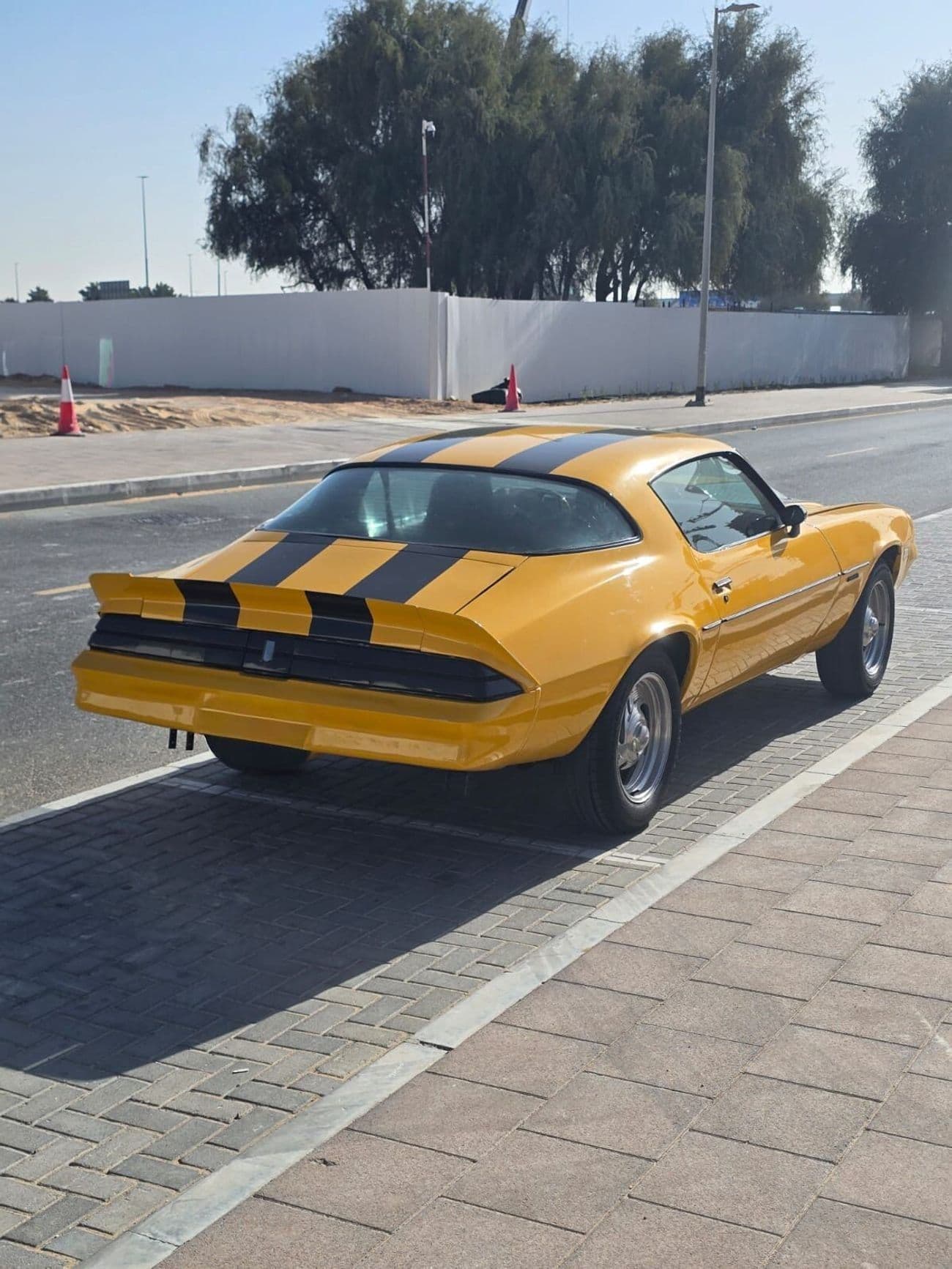 1979 Chevrolet Camaro thumbnail 4