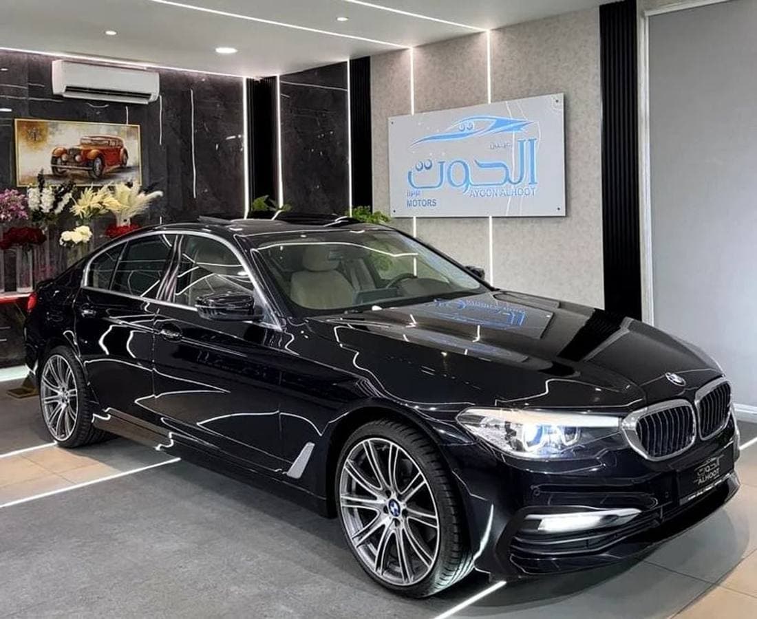 2019 BMW 520i EXCLUSIVE thumbnail 3