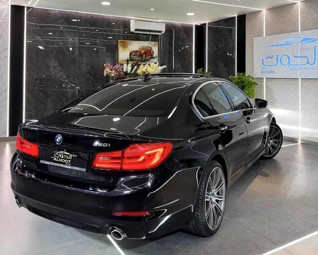 2019 BMW 520i EXCLUSIVE thumbnail 7