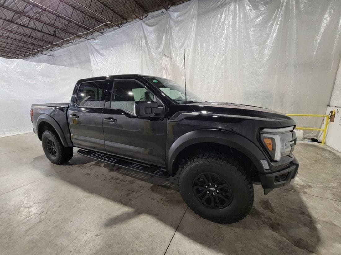 2026 Ford F 150 PLATINUM thumbnail 4