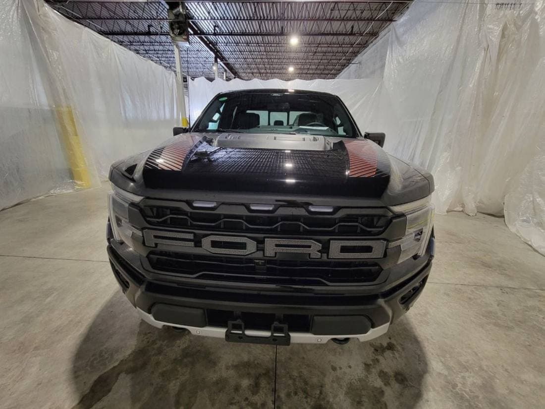 2026 Ford F 150 PLATINUM thumbnail 7