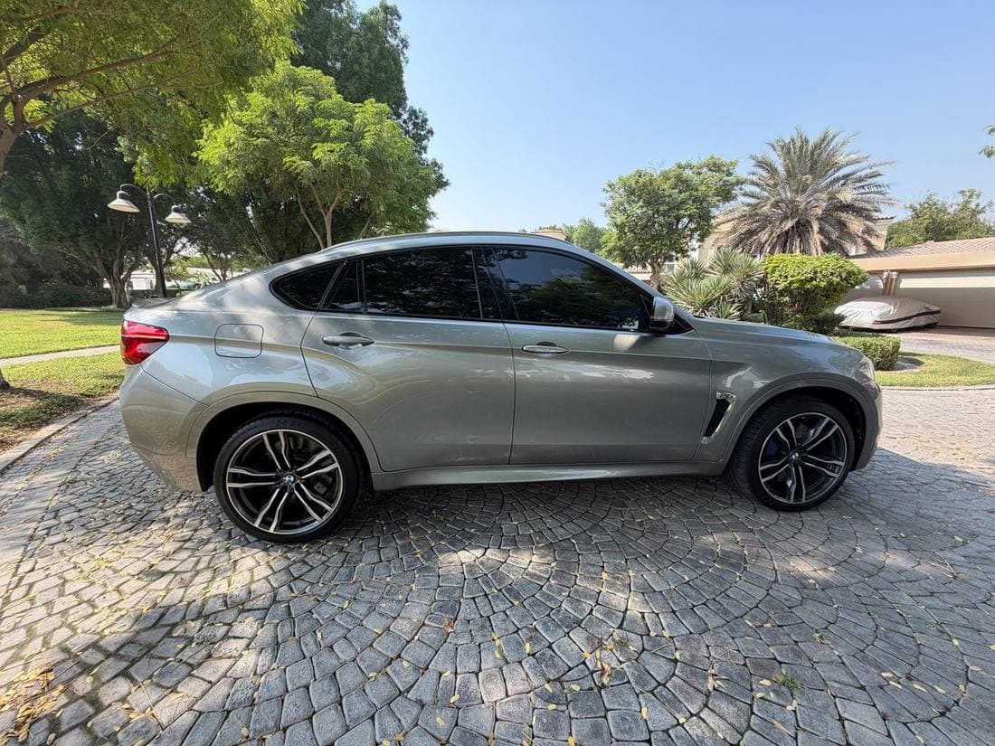 2016 BMW X6 50i M SPORT thumbnail 6