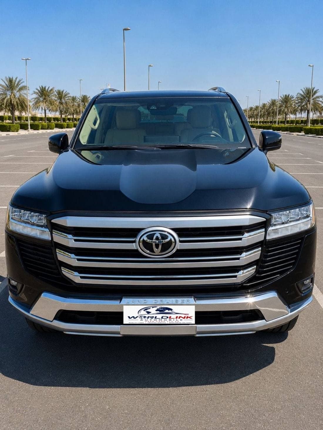 2022 Toyota Land Cruiser VXR thumbnail 2