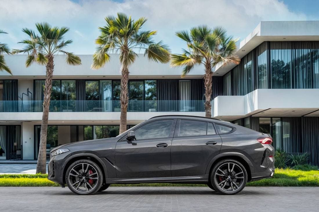 2024 BMW X6 thumbnail 2