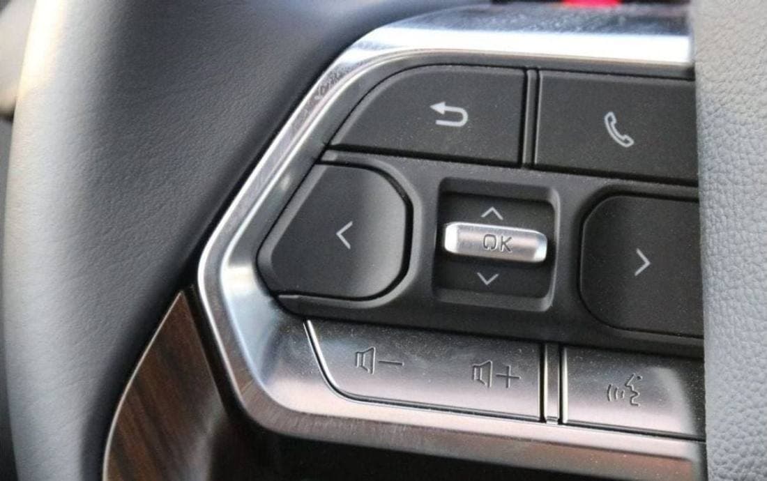2025 Toyota Land Cruiser GXR thumbnail 6