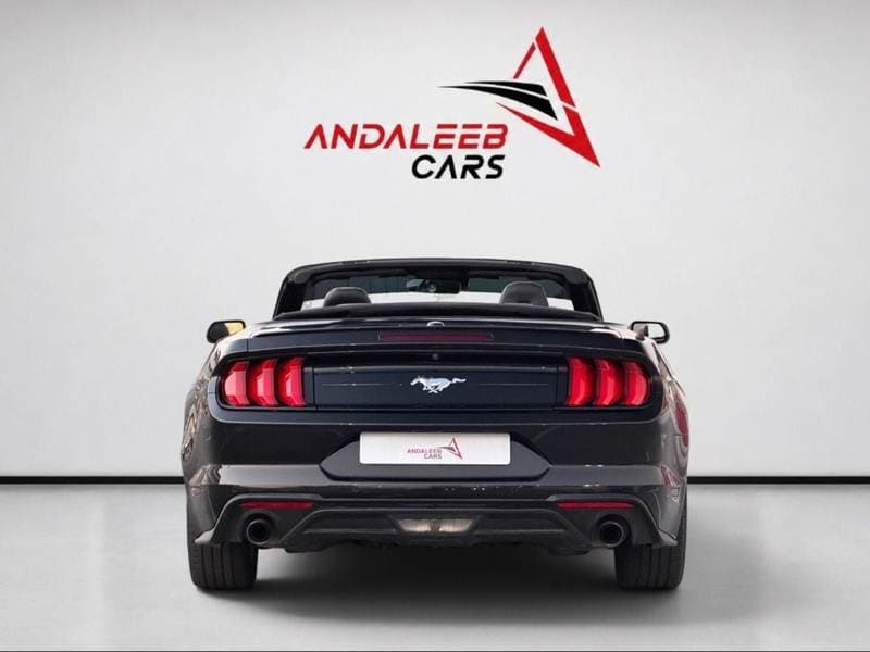 2022 Ford Mustang STANDARD thumbnail 4