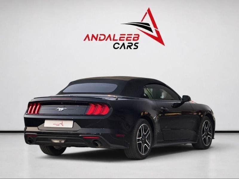 2022 Ford Mustang STANDARD thumbnail 5