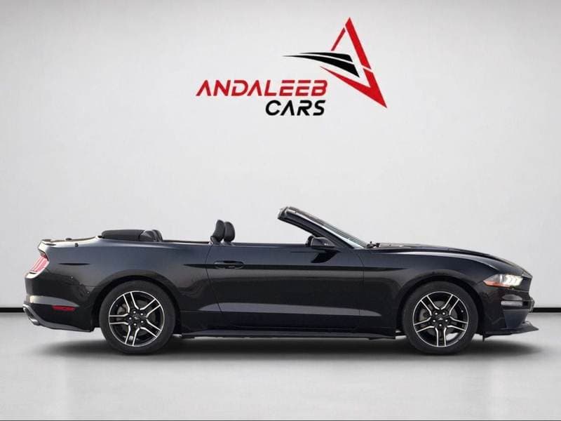 2022 Ford Mustang STANDARD thumbnail 8