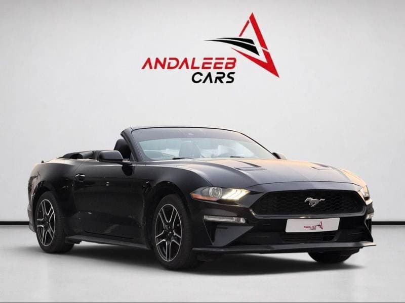 2022 Ford Mustang STANDARD thumbnail 3