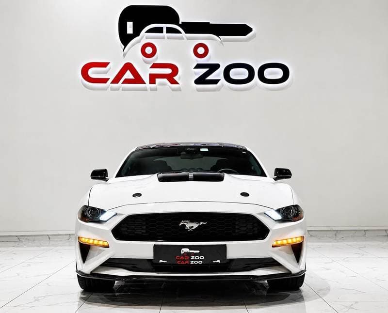 2022 Ford Mustang STANDARD thumbnail 4