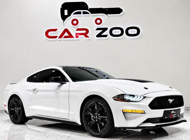 2022 Ford Mustang STANDARD thumbnail 5