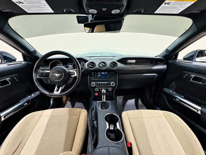 2022 Ford Mustang STANDARD thumbnail 7