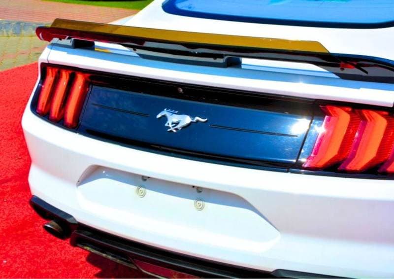 2022 Ford Mustang STANDARD thumbnail 8