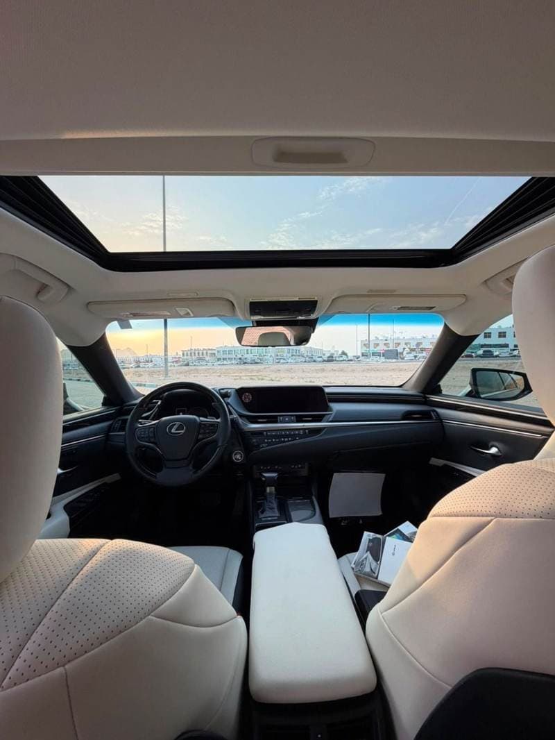 2020 Lexus ES350 PLATINUM thumbnail 8