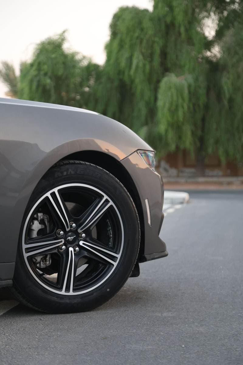 2024 Ford Mustang STANDARD thumbnail 8