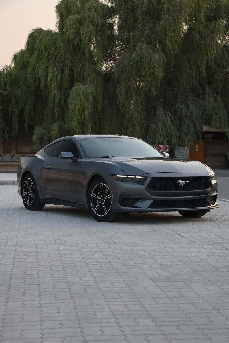 2024 Ford Mustang STANDARD thumbnail 2
