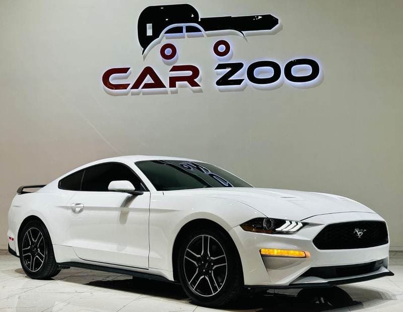 2022 Ford Mustang STANDARD thumbnail 3
