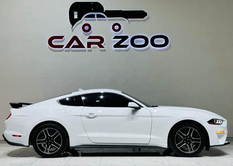 2022 Ford Mustang STANDARD thumbnail 7