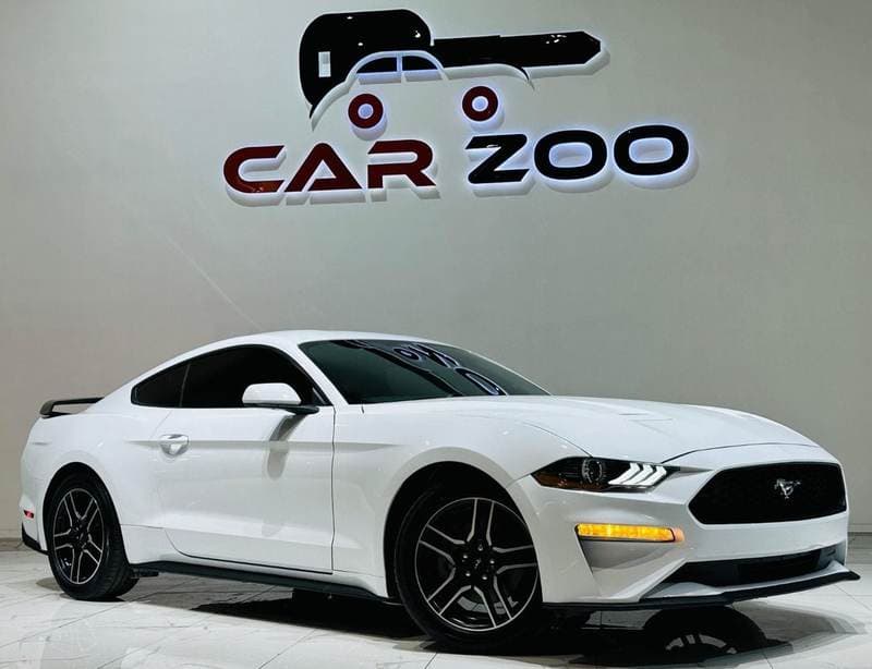 2022 Ford Mustang STANDARD thumbnail 8