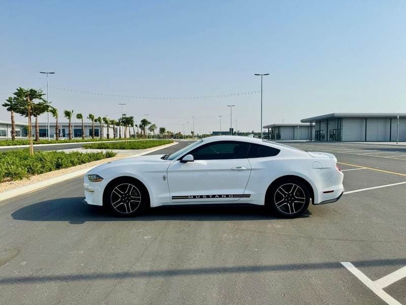 2021 Ford Mustang STANDARD thumbnail 6