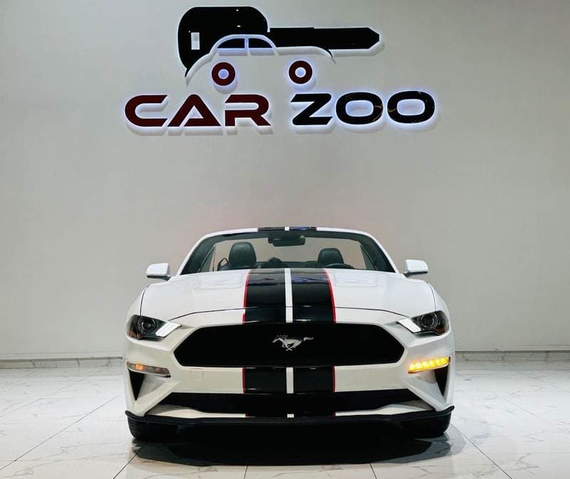 2022 Ford Mustang STANDARD thumbnail 8