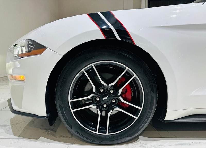 2022 Ford Mustang STANDARD thumbnail 4