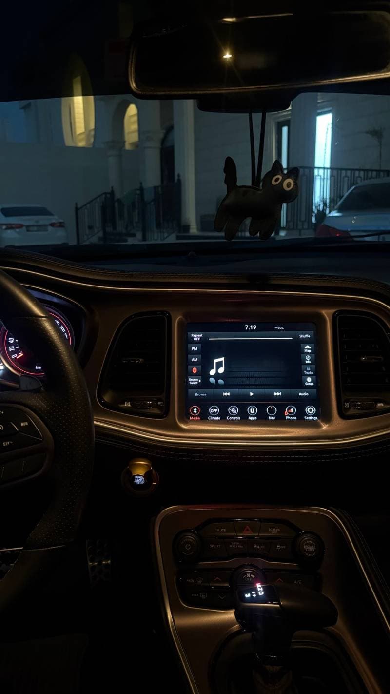 2020 Dodge Challenger GT thumbnail 6