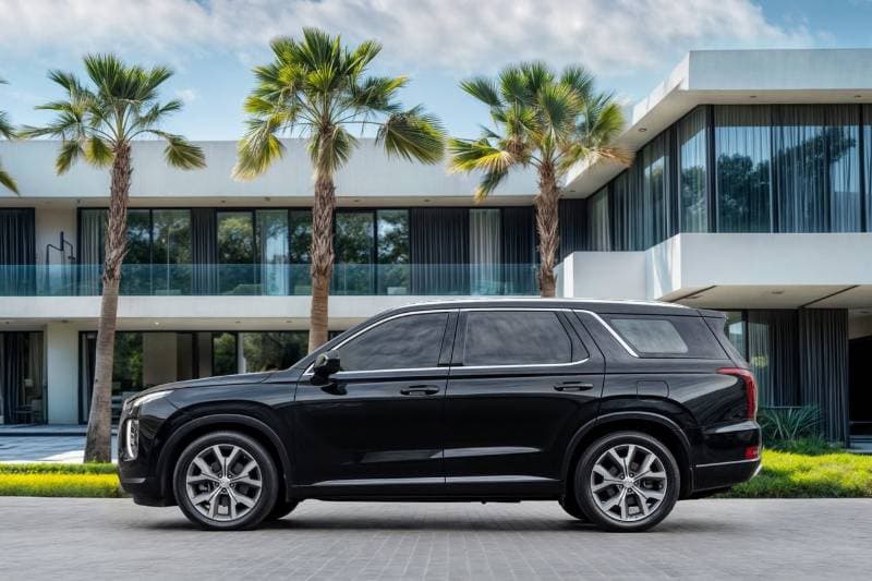 2020 Hyundai Palisade thumbnail 2