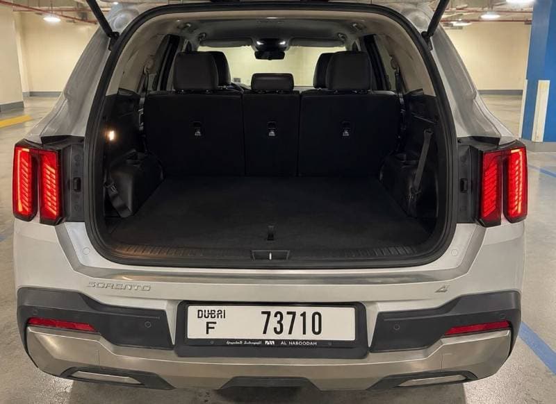 2024 Kia Sorento EX thumbnail 6