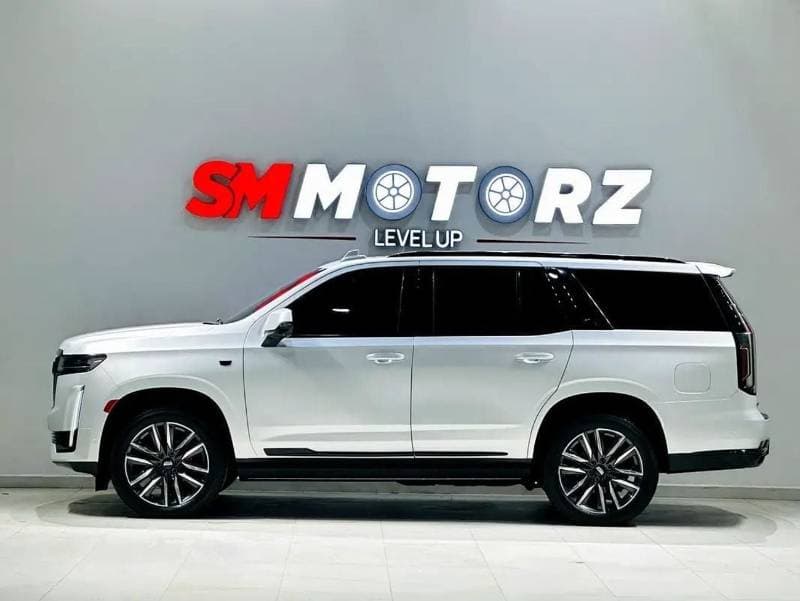 2018 Cadillac Escalade PLATINUM thumbnail 6