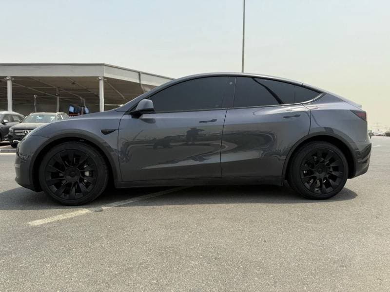 2022 Tesla Model Y LONG RANGE thumbnail 2