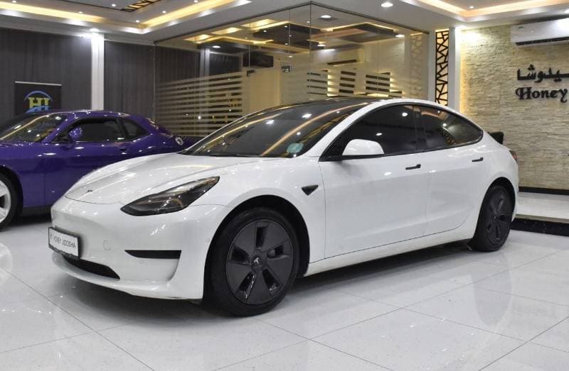 2022 Tesla Model 3 STANDARD RANGE thumbnail 3